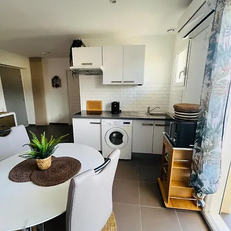 Le Cosy Azureen 300m De La Apartment